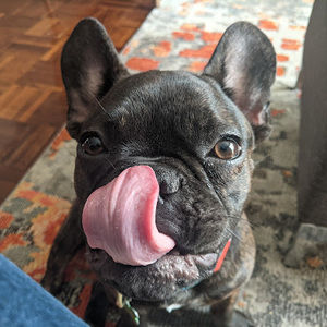 Meet your Posher, Caffrey